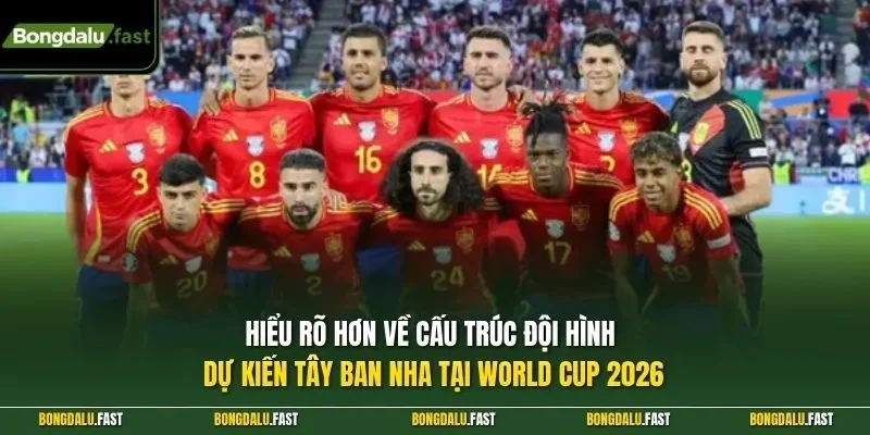 Hiểu rõ hơn về cấu trúc đội hình dự kiến Tây Ban Nha tại World Cup 2026
