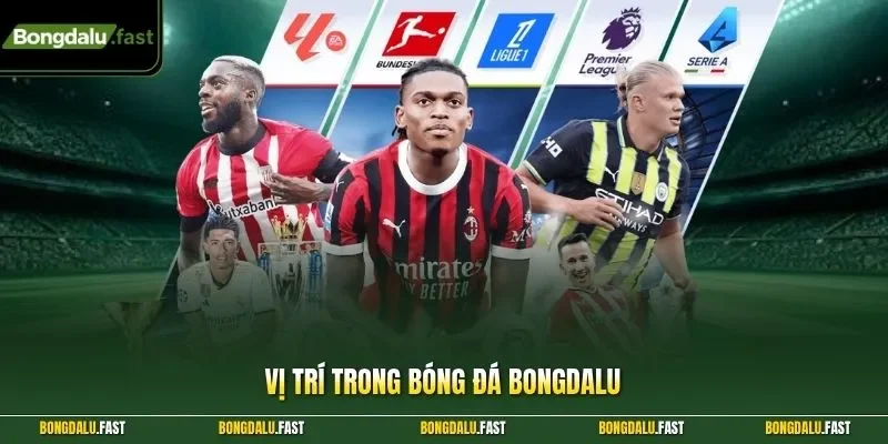 vị trí trong bóng đá