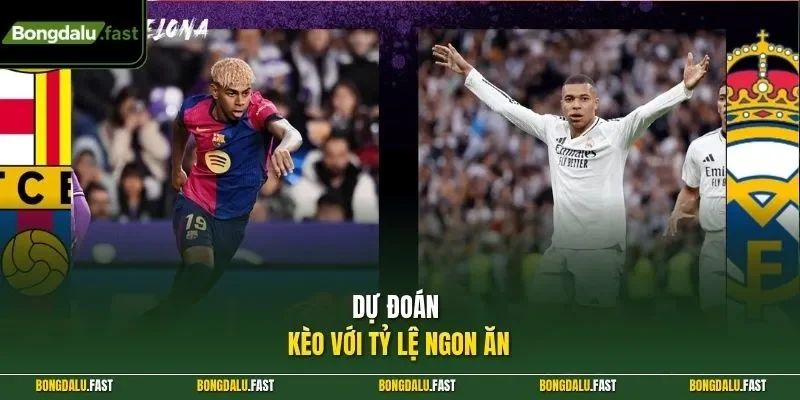 Dự đoán kèo với tỷ lệ ngon ăn